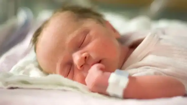 Fertility rates (1)