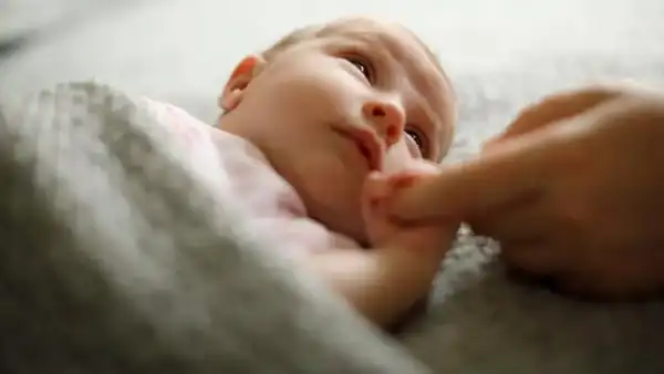Fertility rates (4)