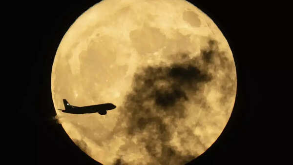 Strawberry moon (2)