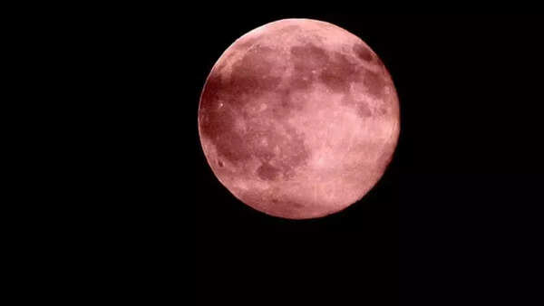 Strawberry moon (3)