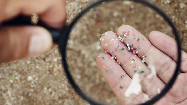 micro plastic are small particle size of 1m to 5m. micro plastic