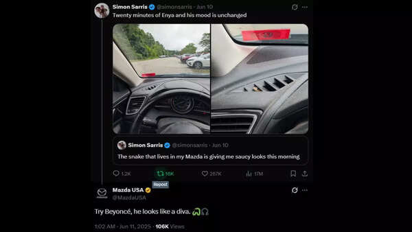 Snake surprises US driver by peeking out from Mazda dashboard