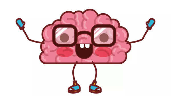 brain