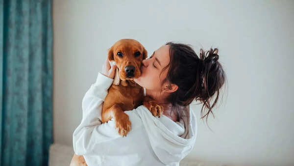 Why dog owners often look like their pets, as per science