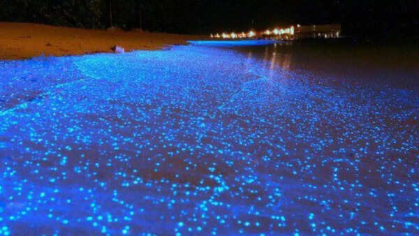 Toyama Bay, Japan