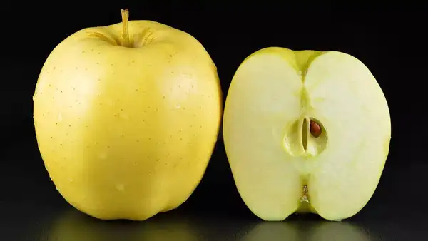 Source: Wikipedia Golden delicious