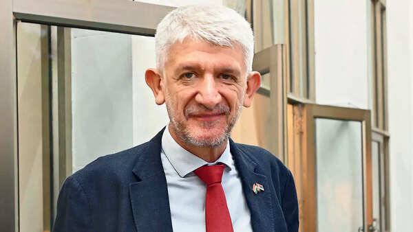 Siniša Pavić, Ambassador of Serbia