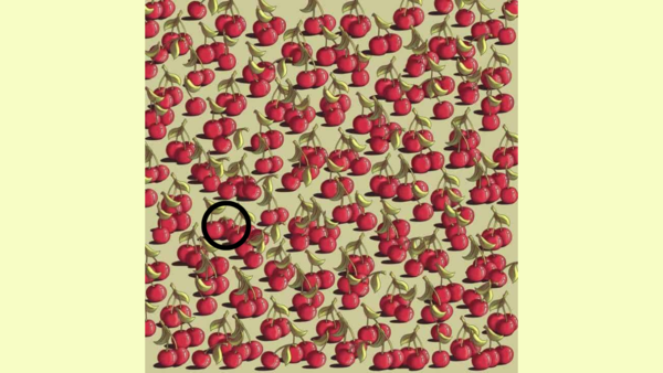 hh (2690)