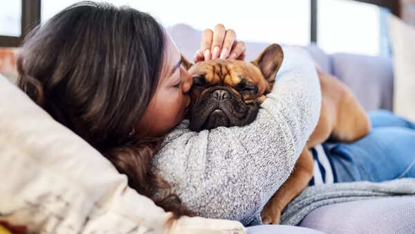 Dog parent (2)