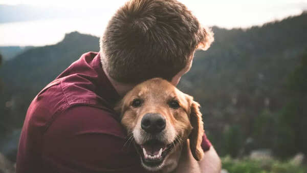 Dog parent (1)