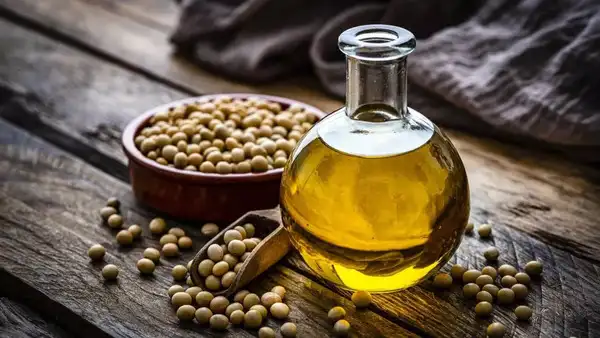 Seed oil (2)