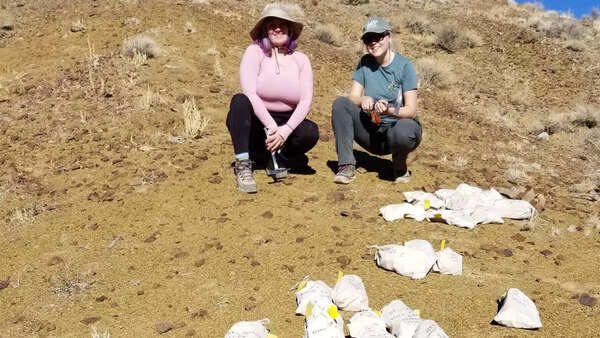 Source: Univeristy of Missouri Researchers studied the ancient reefs