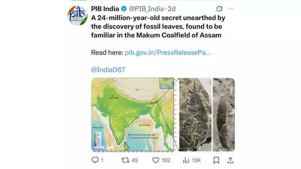 This 24-million-year-old leaf fossil in Assam has stunned scientists– here’s why