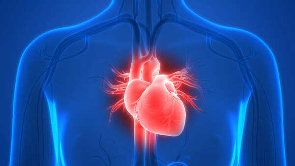 HEART