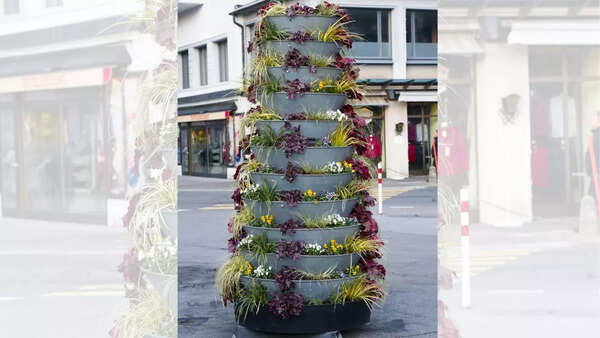 Source: Canva Tiered plant stands
