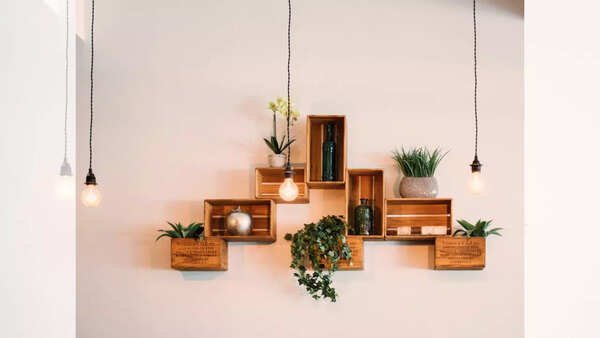 Source: Canva Wall mounted planters