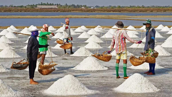 Sea salt