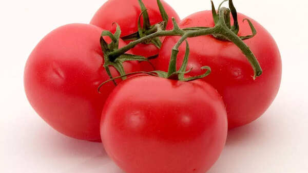Tomatoes