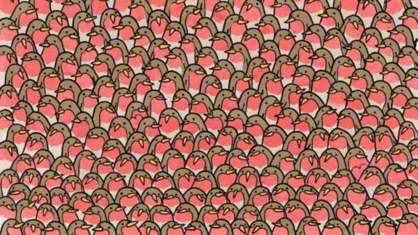 Optical illusion 1