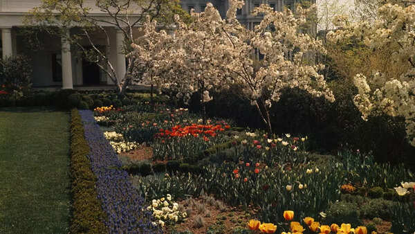 White House Rose Garden