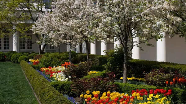 White House Rose Garden (3)