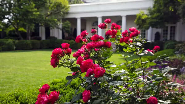 White House Rose Garden (5)