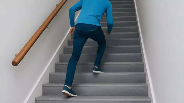 Image Credits: Canva The climbing stairs workout