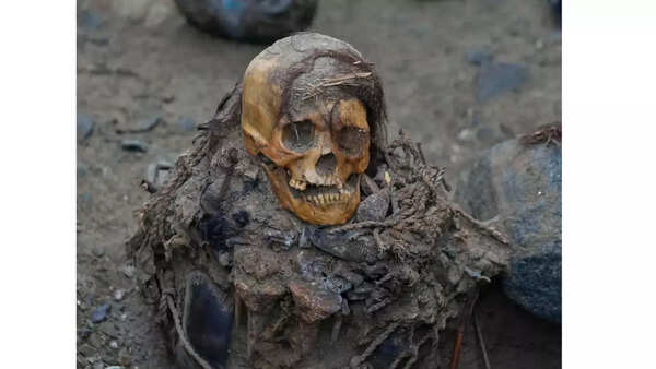Seated mummy discovered during gas pipeline work
