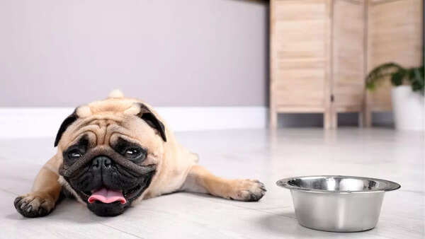 What is heatstroke?