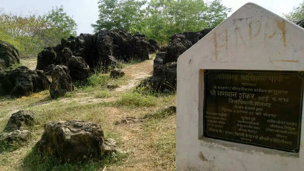 Salkhan_Fossil
