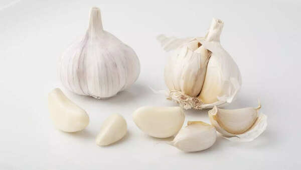 Garlic