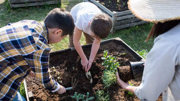 Why monsoon is the best time to start a kitchen garden | 3 Preparing soil