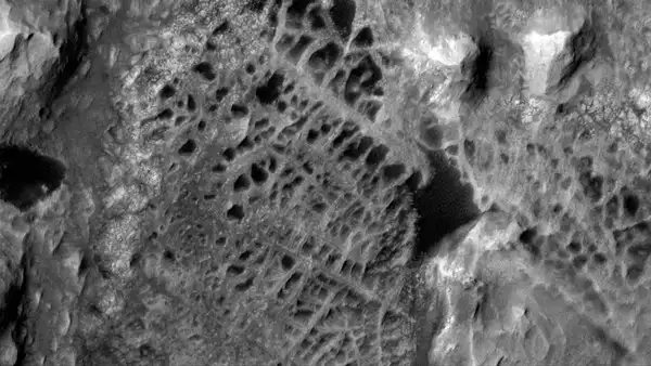 What are Martian "spiderwebs" that are captured by NASA?