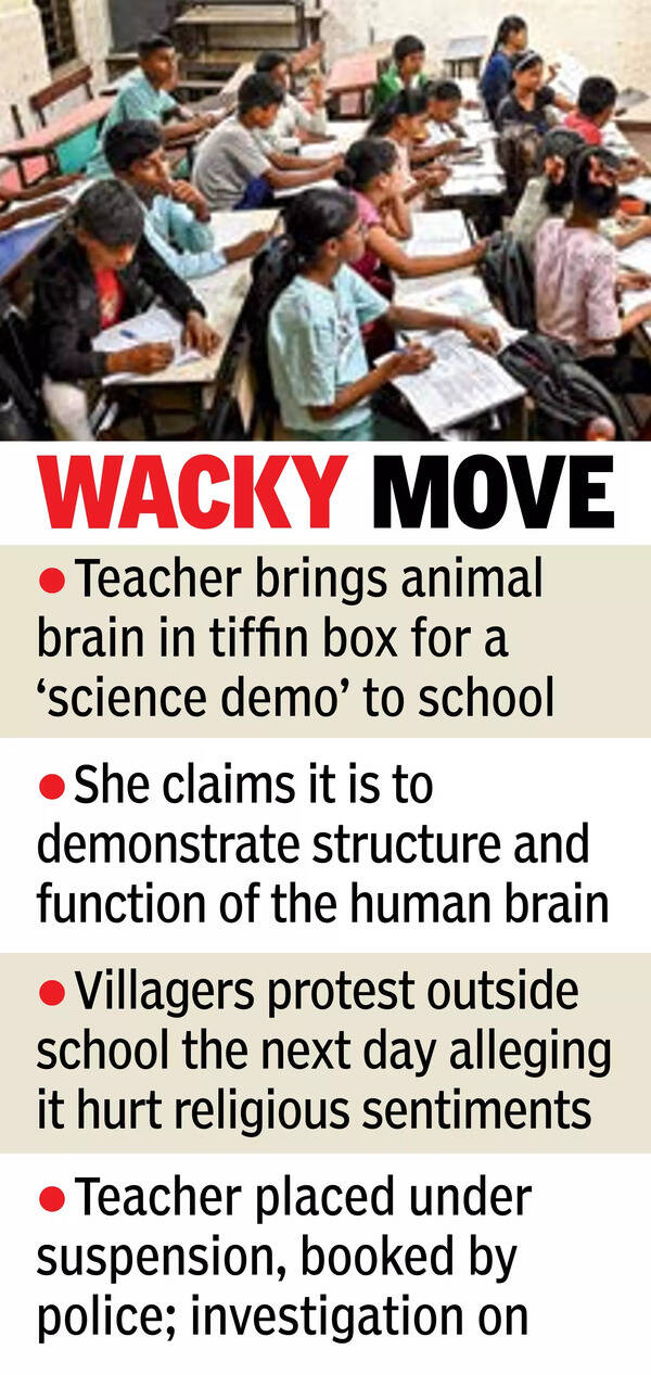Teacher brings animal brain to class, suspended