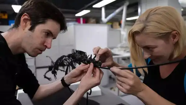 Source: The BBC Significance for palaeontology