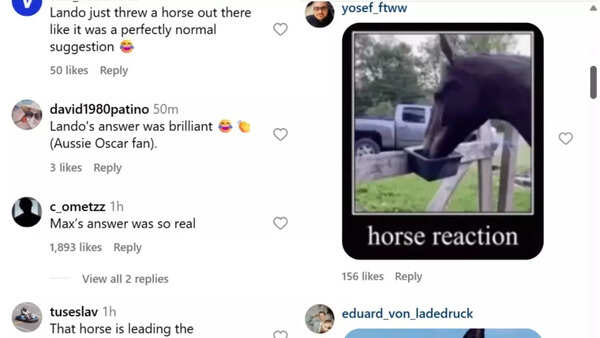 Reactions to Lando Norris' response