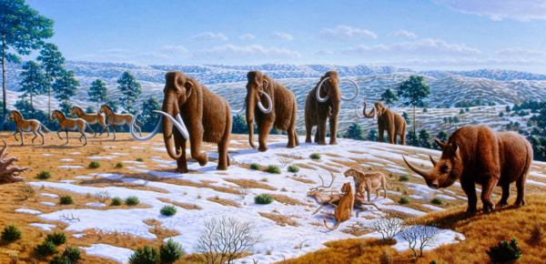 Cave lion in Mammoth steppes