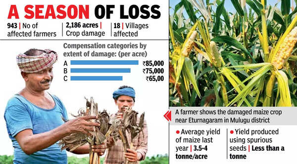Betrayed in fields