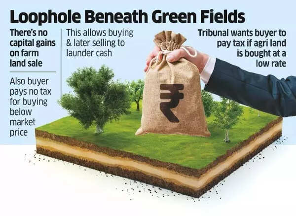 Tax Loophole Tax Loophole