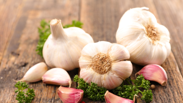 Garlic