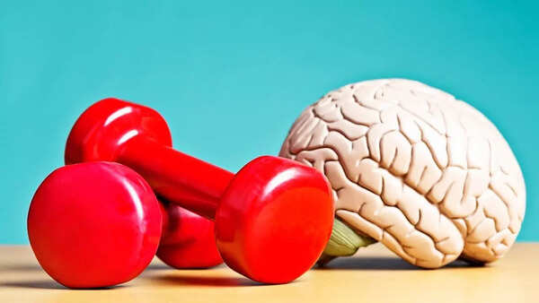 Exercise brain