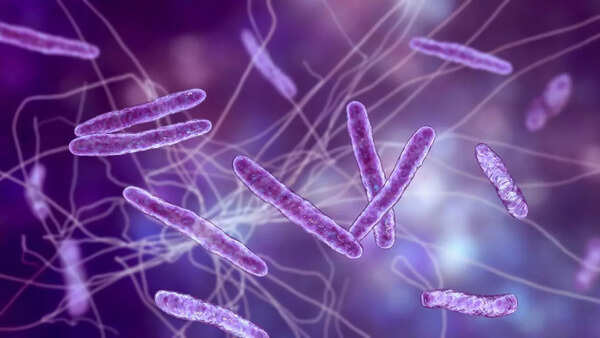 microbes