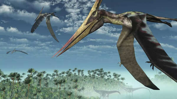 Prehistoric morning(representative) - Credits: canva