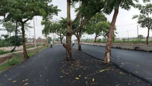 Patna-Gaya 7.8km stretch
