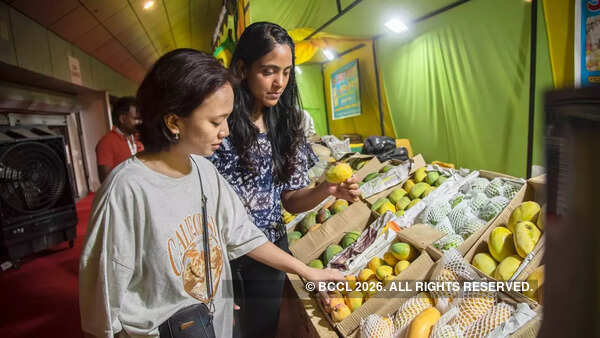 Top selling mango varieties at the fest were mallika, amrapali, surkha, malai kesar and deenga