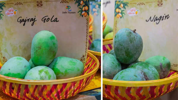 Mango varieties with quirky names are an attraction as always