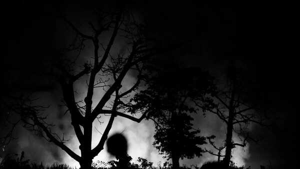 nightmare