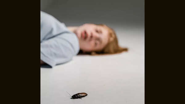 Cockroaches may enter your ear canal
