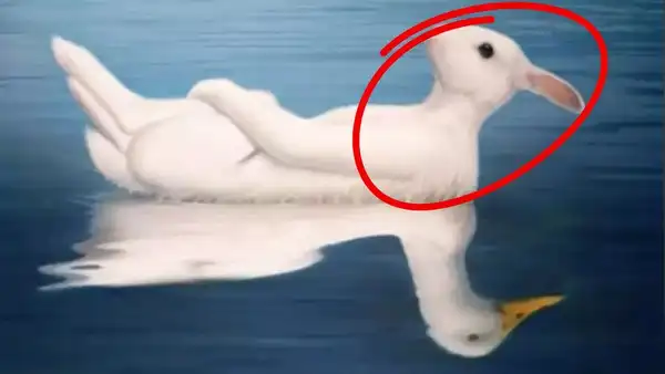 Optical illusion personality test: Duck or rabbit? What you see first reveals if you’re more charming or intellectual 2 Photo: Mia Yilin/ TikTok