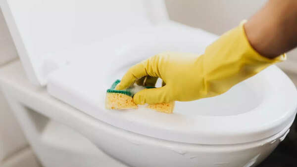 Toilet cleaner